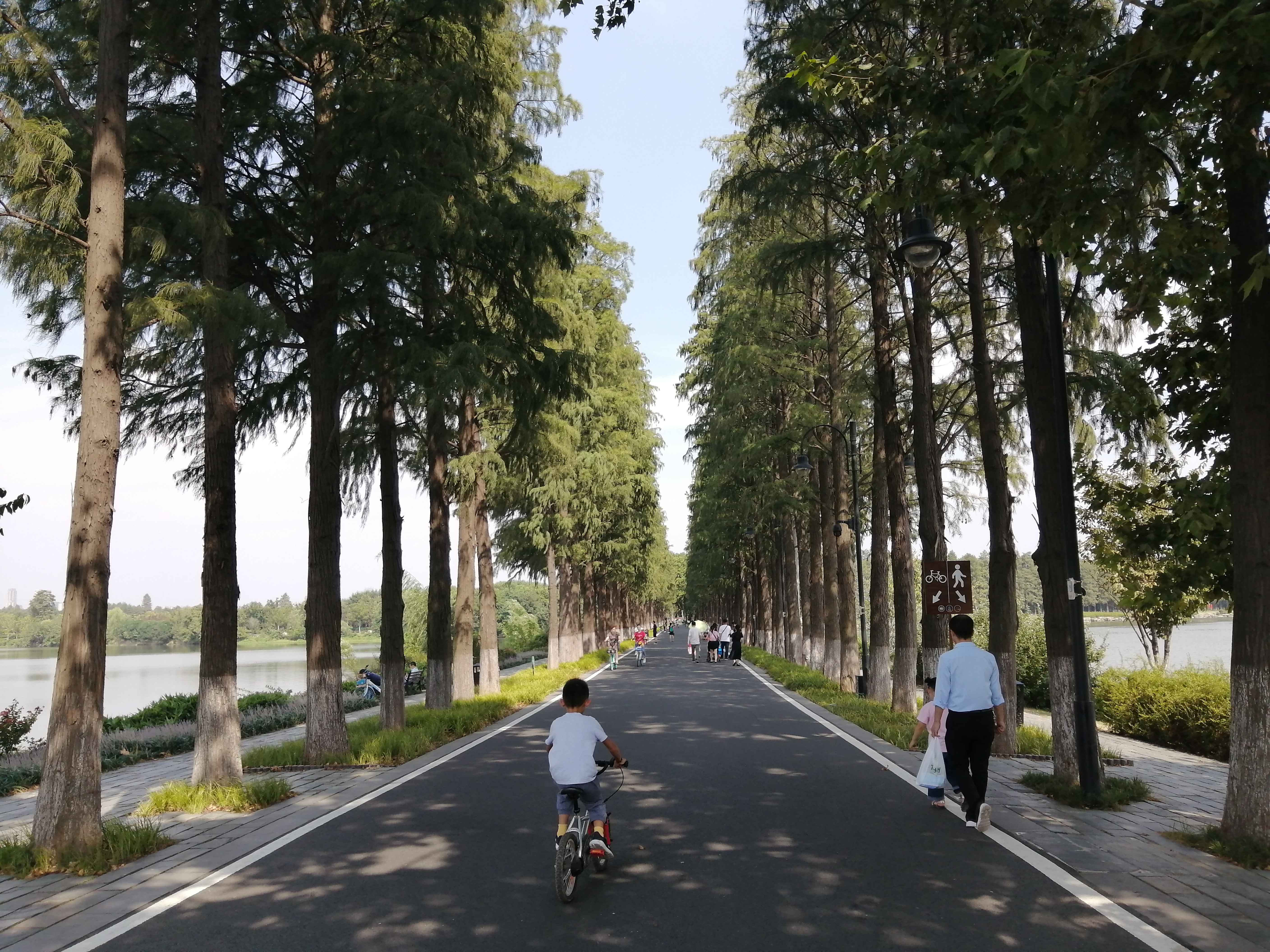 武汉漫步东湖视频,漫步东湖绿道