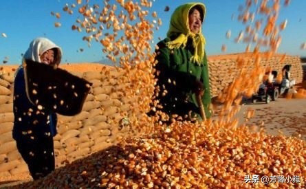 最吸金的十大行业,2014最赚钱行业排名