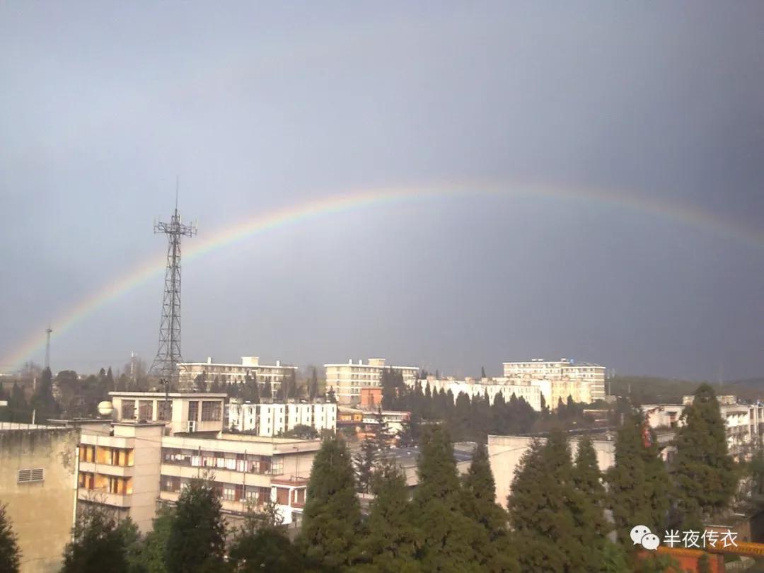 手机使用半年测评,手机使用心得体验