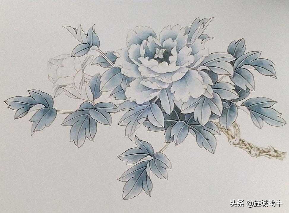 青龙卧墨池牡丹怎么养,青龙卧墨池牡丹形状