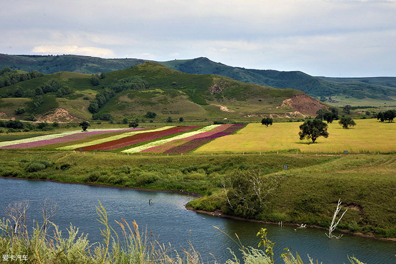 90后放弃城市打工回农村种果园,90后放弃百万收入
