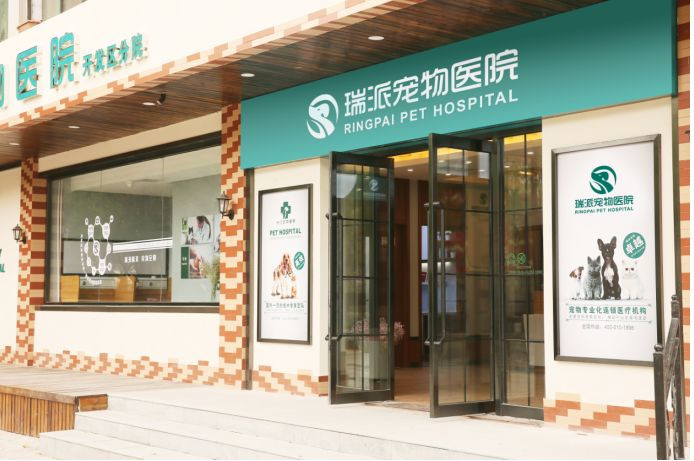 新瑞鹏深度分析,新瑞鹏和佳雯