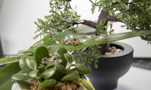 纳米级昆虫机器人,德国仿生蚂蚁机器人