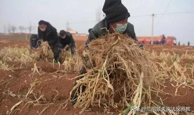 疫情面前，如果你熬不下去了，请看看他们…...