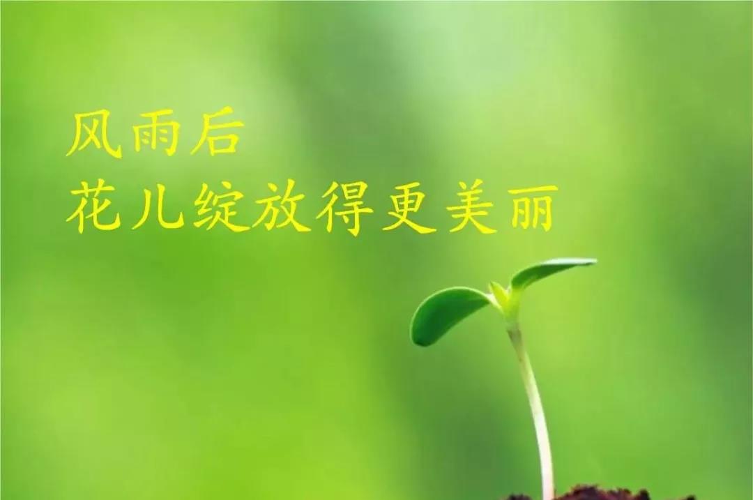 癫痫病人的最主要护理措施,癫痫病人怎样才算全部康复