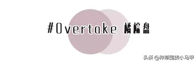 实体店被举报卖假货,专柜售假是真的吗