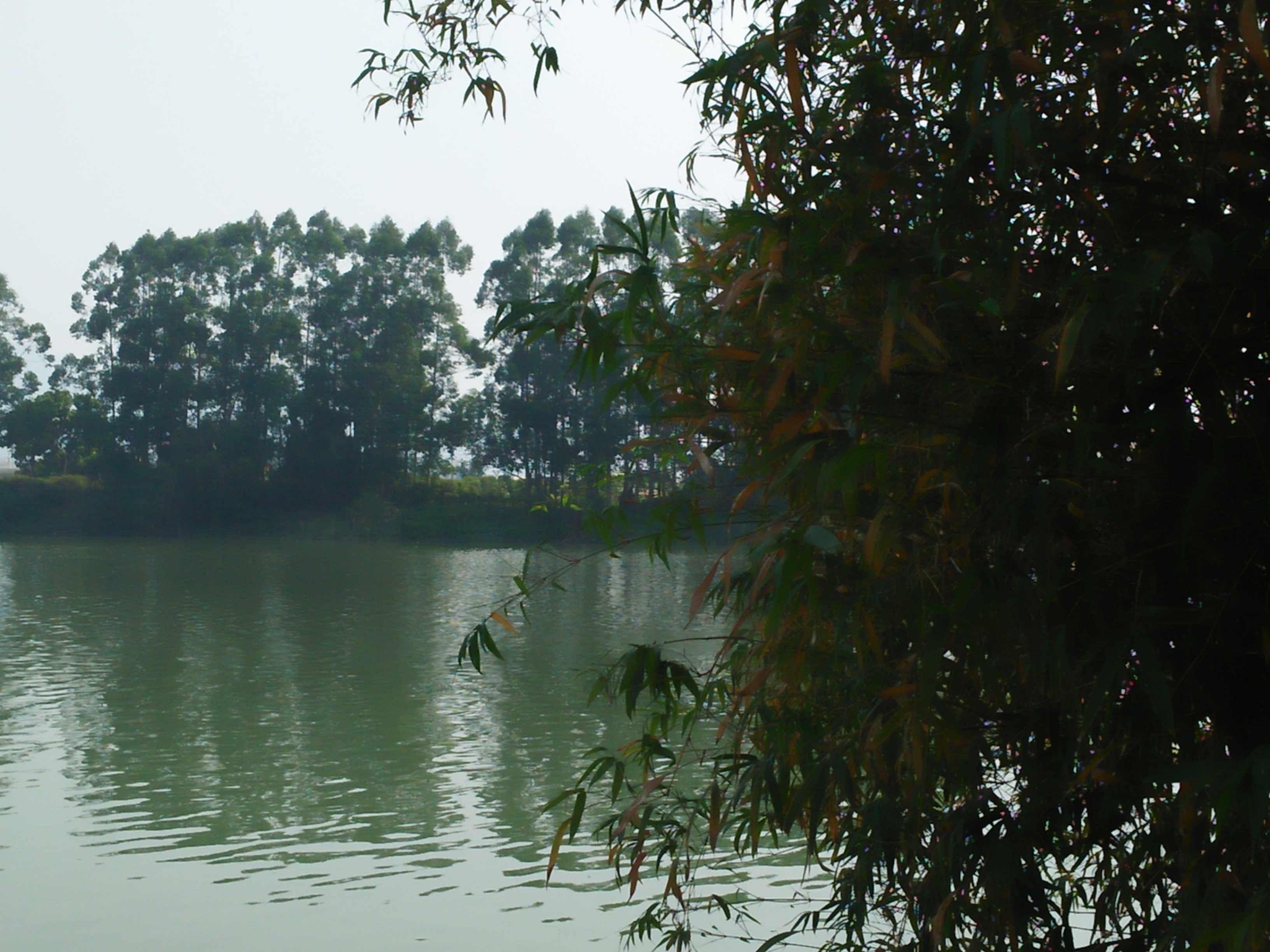 立春散文随笔,立春午后游记