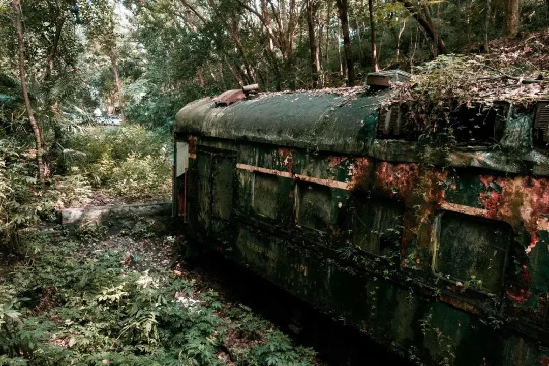 来杭州不知道做什么,来杭州不去哪里遗憾