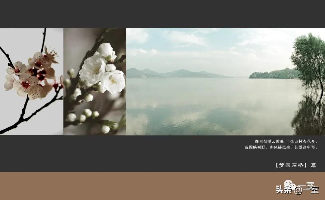 我在PPT中加上概念分析图，方案就通过了？