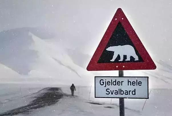 它连续N年被评为全球最宜居国度No.1，此生攒钱也要去！