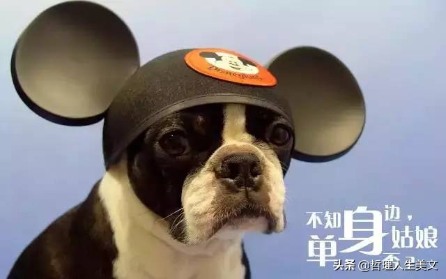 光棍节霸气套路搞笑图片,11.11光棍节图片