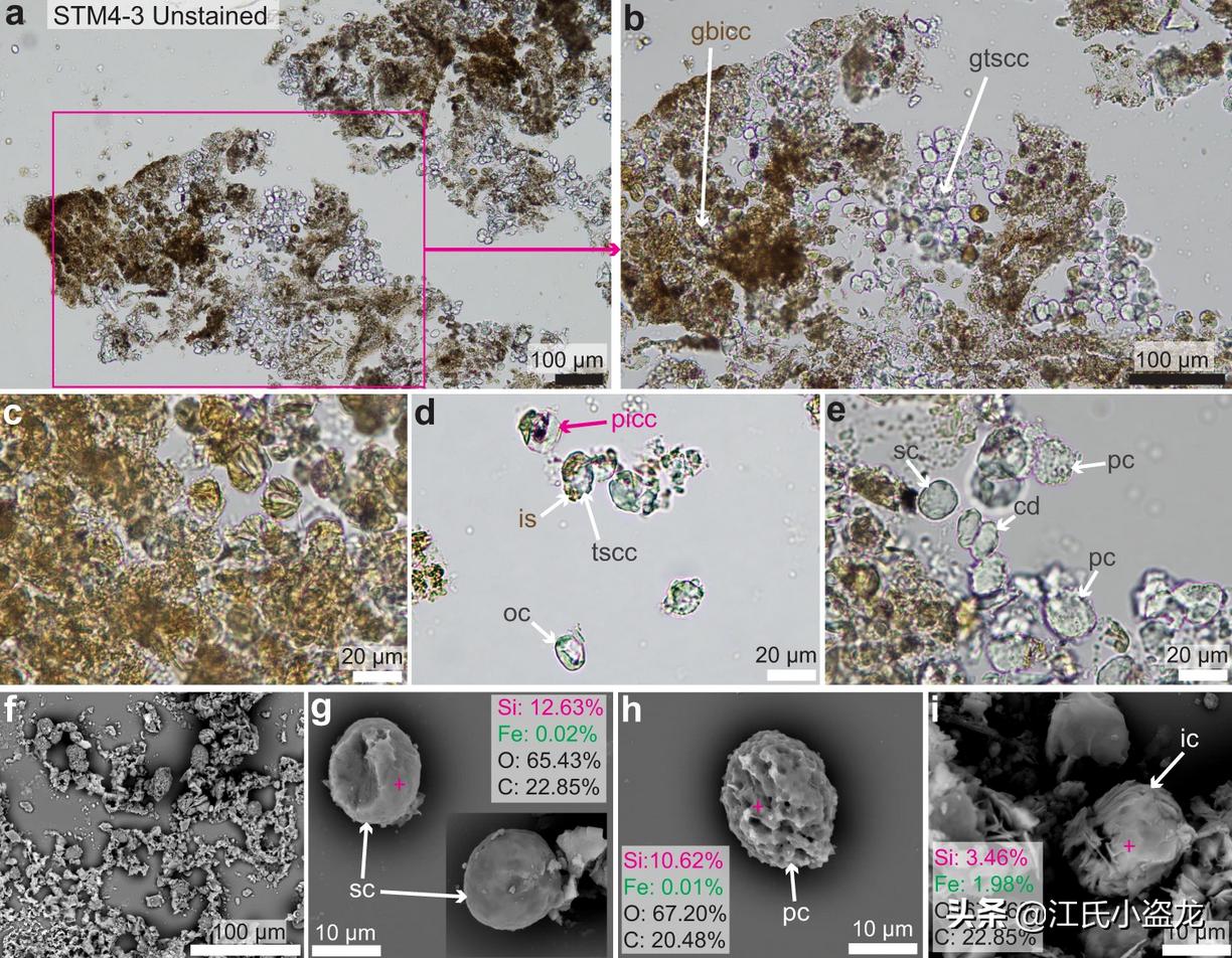 中国科学家揭秘恐龙皮肤化石,科学家用恐龙化石克隆出一只恐龙