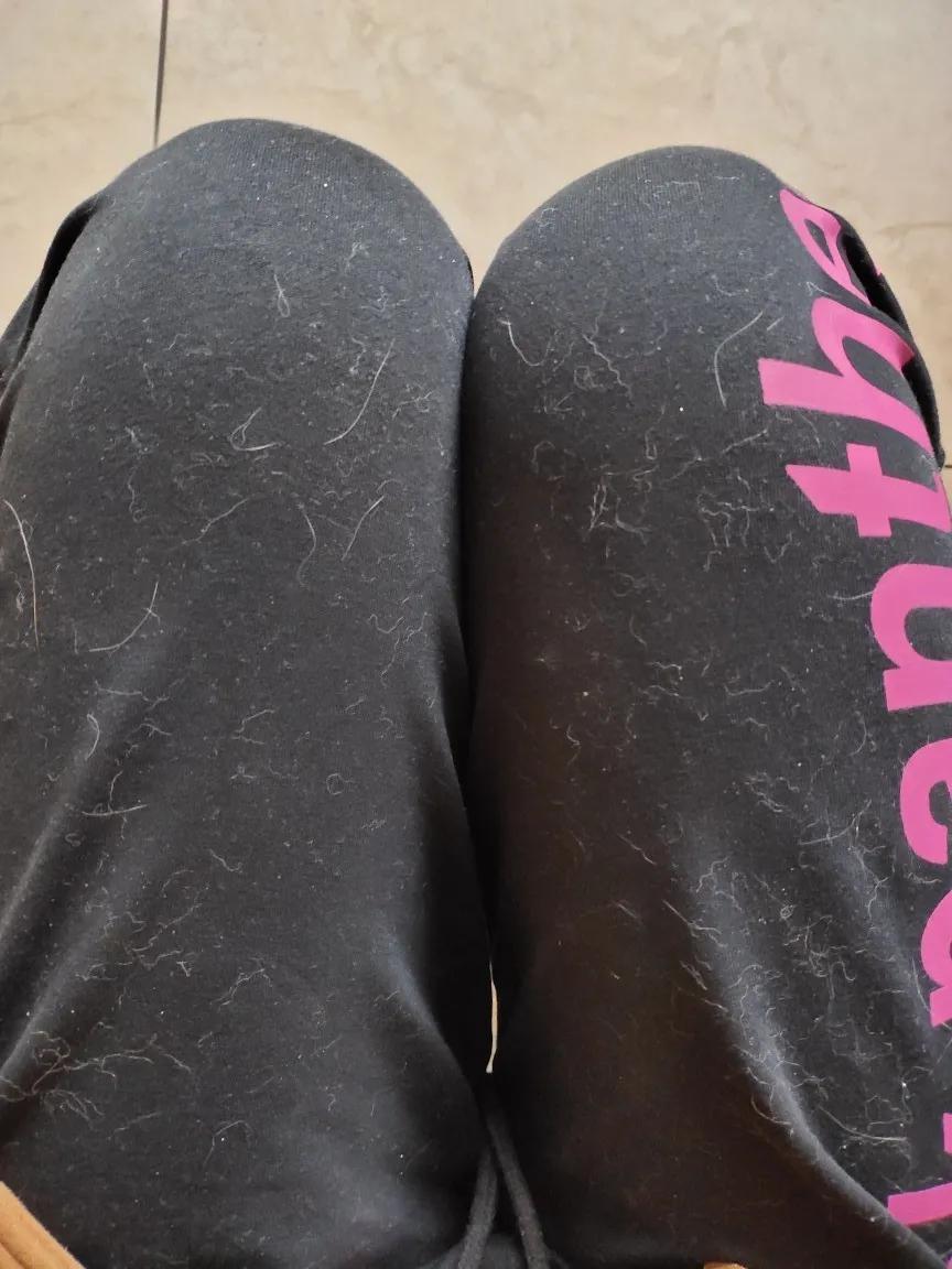 新到家的猫咪打疫苗,去医院打疫苗猫咪