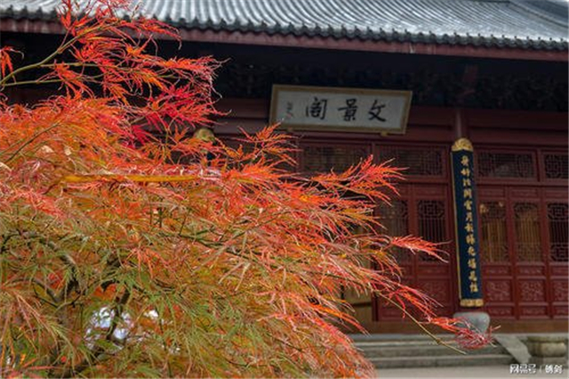 东晋寻求庇佑的寄子现象并不单纯，孩童只是权力争夺的棋子