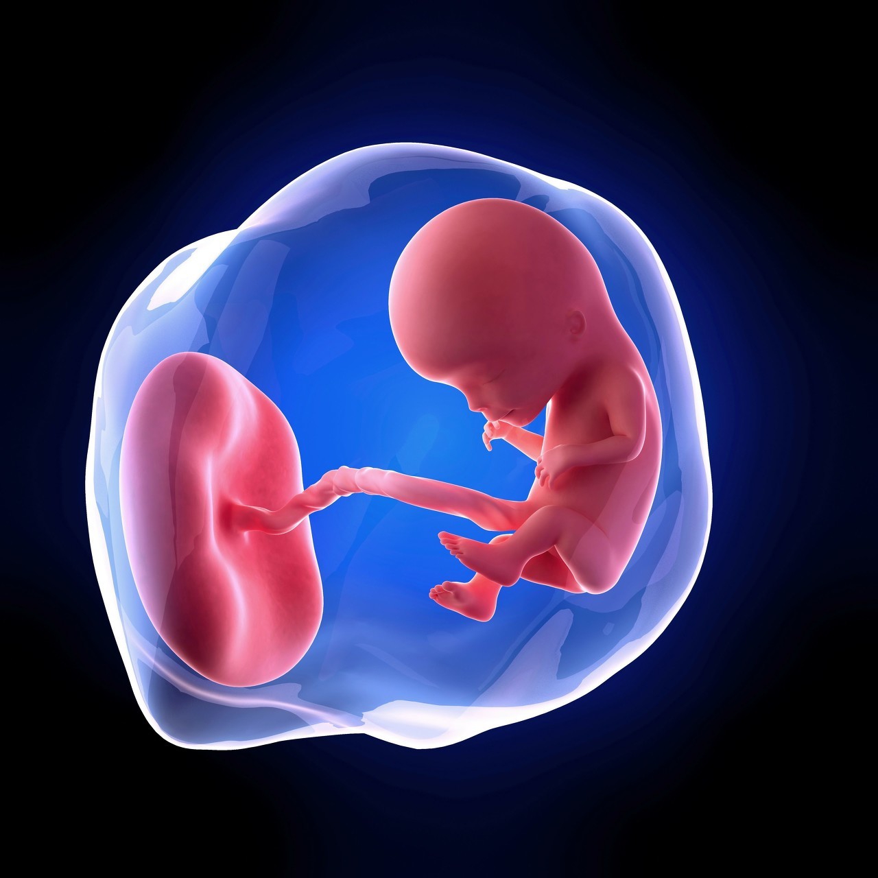 B超胎儿双顶径和股骨长,b超胎儿双顶径比前一次检查还小