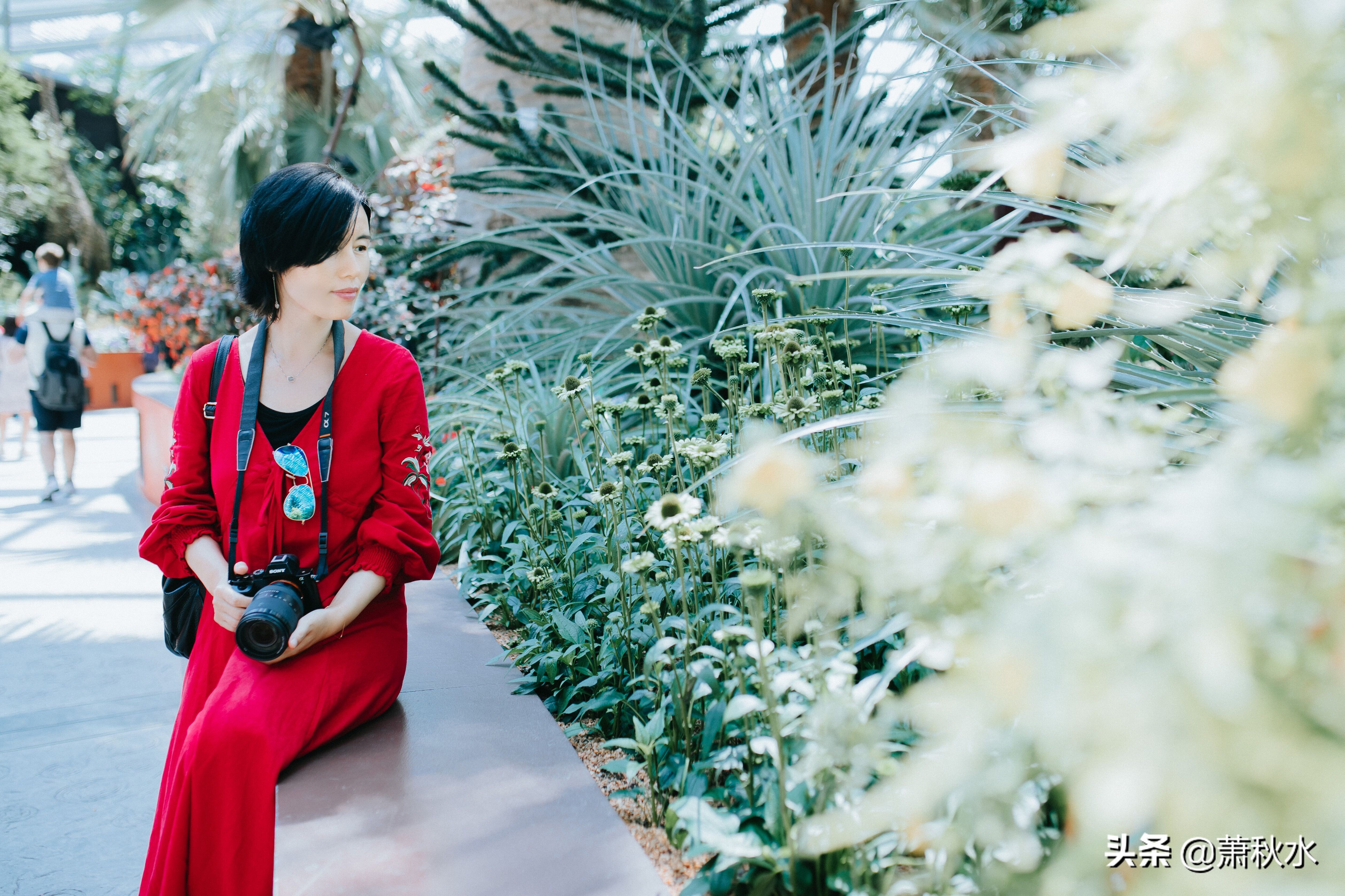 失联3年穷游墨西哥女人,穷游墨西哥失联