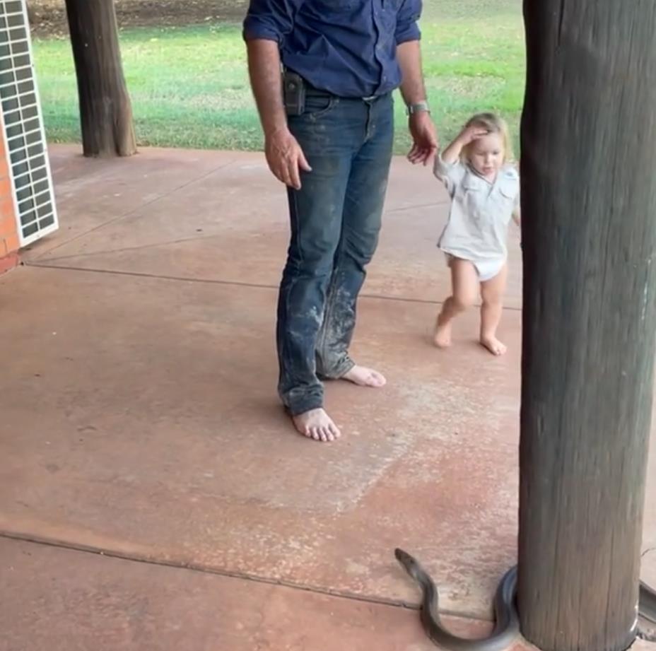 澳洲狂野早教:2岁娃单挑巨蟒,爸爸在一旁指点加油,这?