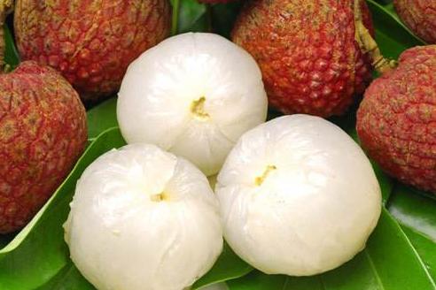 十大毒性最大的水果,最危险的十大水果