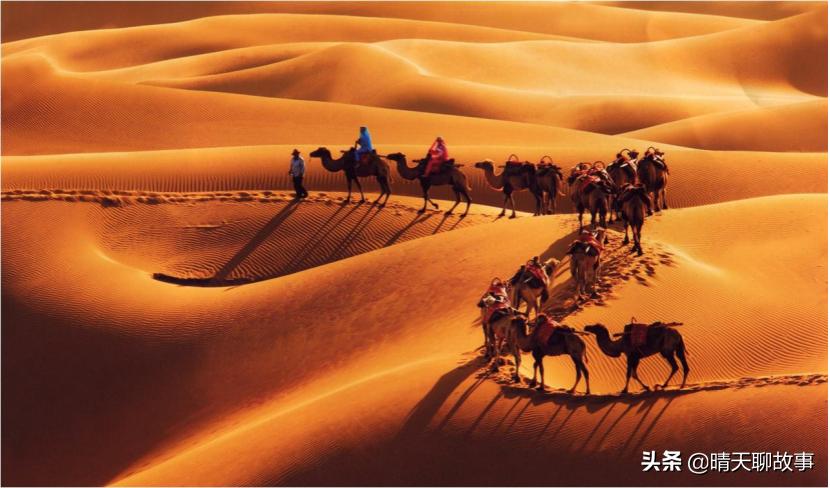 在沙漠里捡石头,沙漠有石头为什么要捡