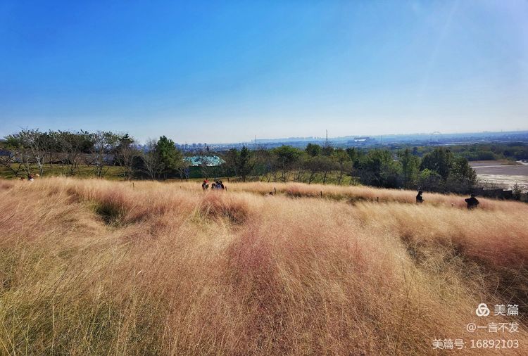 南京园博园时光亦谷游玩攻略路线,紫清湖和园博园哪个值得一去