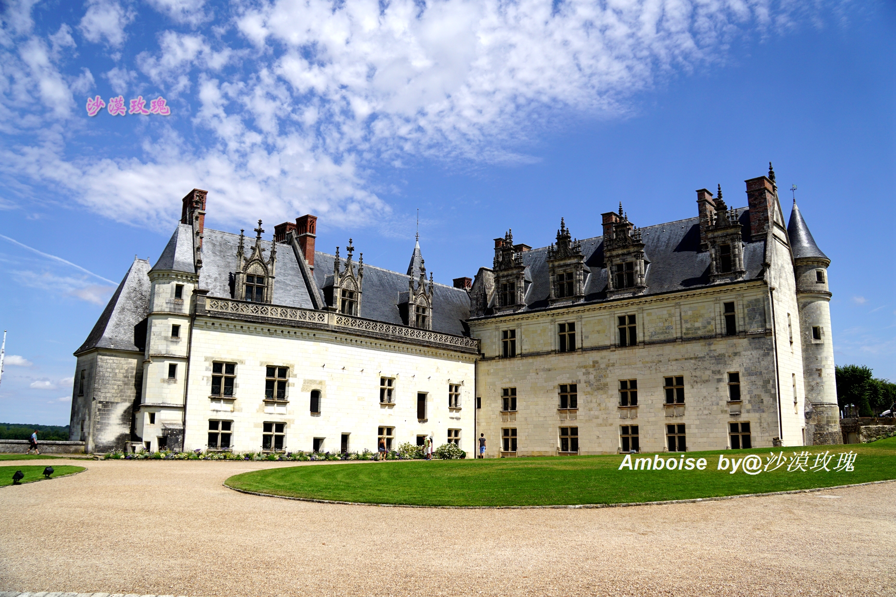 法国卢浮宫纪念达芬奇,达芬奇与法国国王