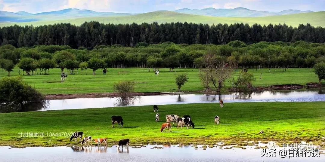 呼伦贝尔浩野户外旅行,呼伦贝尔户外游私人订制