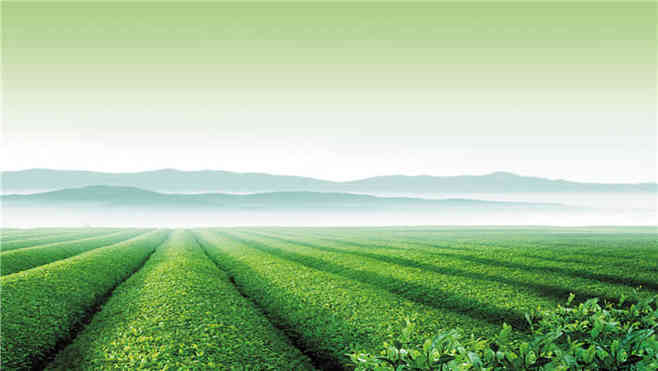 茶文化与传统茶具,懂得品茶的人的修养