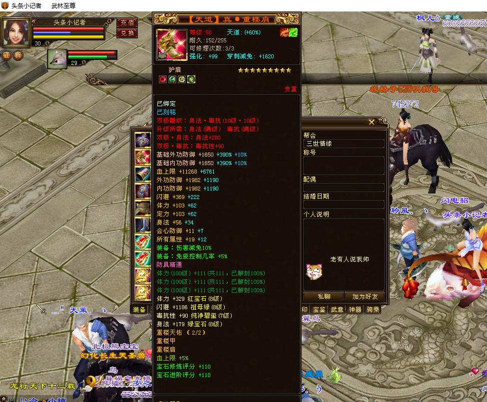 天龙八部：全服第四天山﹎醉凌雲ゞ装备图曝光，这钱花的上头