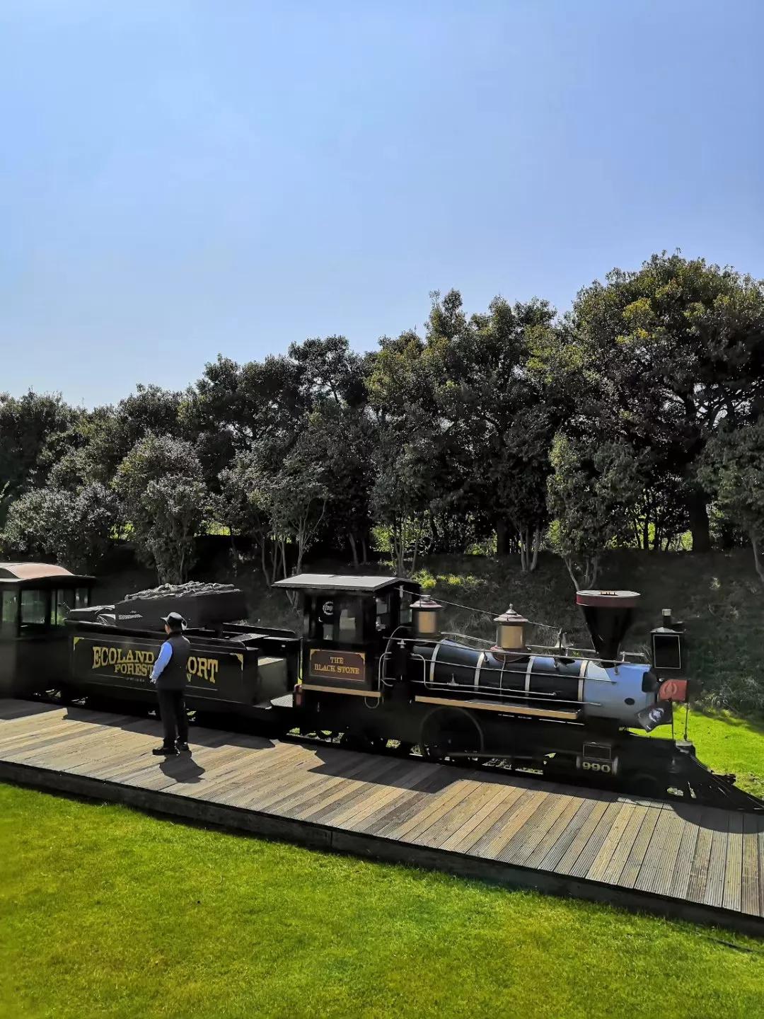 在济州岛发呆的日子,济州岛散心