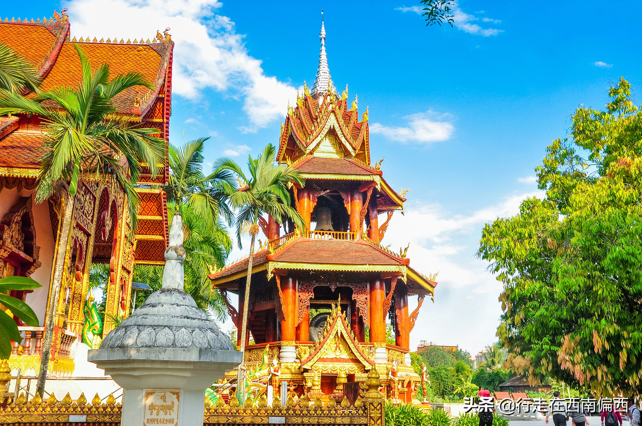 西双版纳五树六花景点,西双版纳都有哪些开花的树