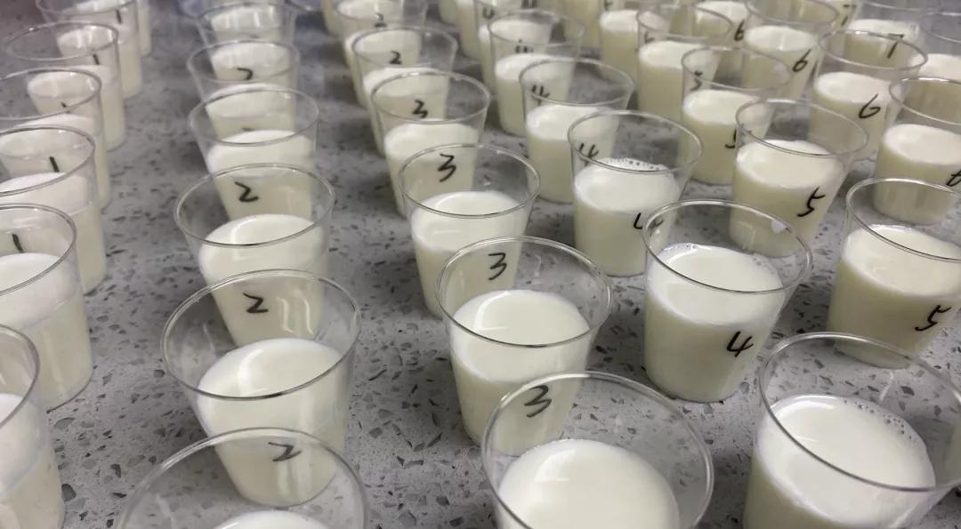 奶粉口碑最好的前十名奶粉评测,大牌奶粉有哪些