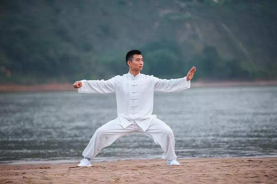 太极拳九连环,太极拳九诀