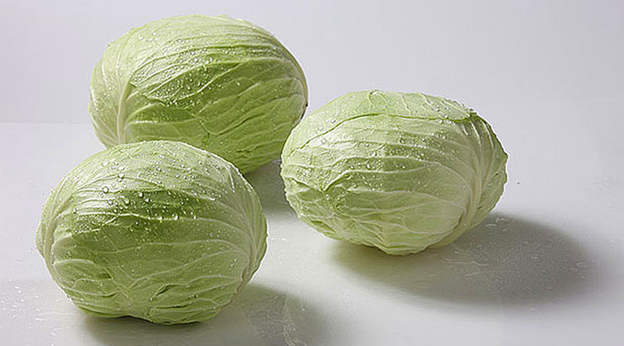 秃发怎么养发,秃发养发过程