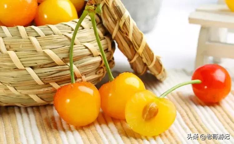 海阳小樱桃采摘季节,乳山市的大樱桃能摘吗