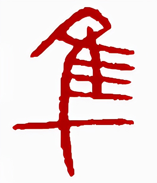 佳和隹字区别,隹字的讲解