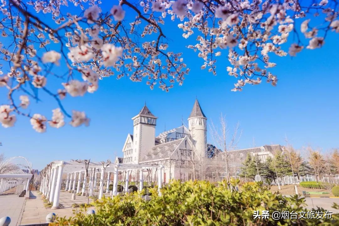 张裕卡斯特酒庄免费参观,烟台张裕卡斯特酒庄攻略