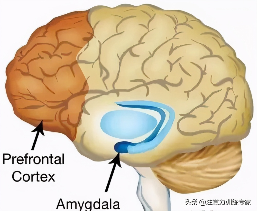小学孩子作业拖拉如何纠正,怎样纠正孩子做作业拖拉的习惯
