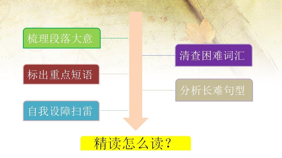 高三英语复习冲刺阶段教学视频,高三英语复习备考ppt