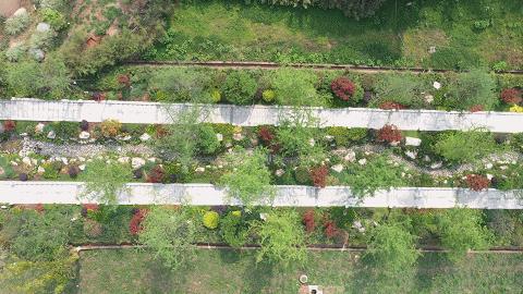 彭山网红打卡地南巷街,成都红枫岭网红打卡地