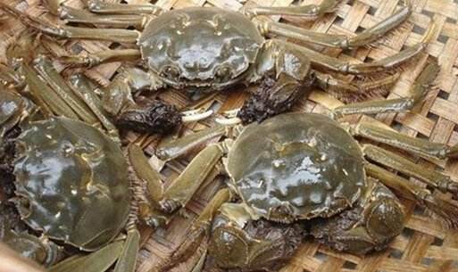 买螃蟹怎么挑选肥的,如何挑选螃蟹注意事项