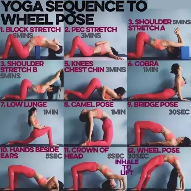 哈他正位瑜伽体式串联90分钟编排,哈他瑜伽体式分解