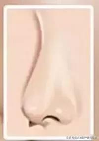 什么样的鼻子好看图片,男生什么样的鼻子最好看