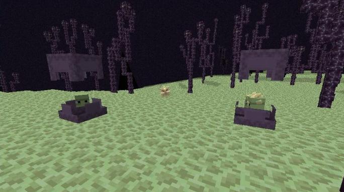 我的世界末影螨和小黑有什么关系,我的世界末影螨会激怒小黑吗