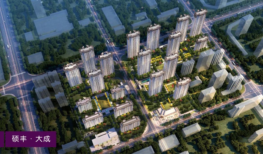 硕丰大成最新视频,硕丰大成一期