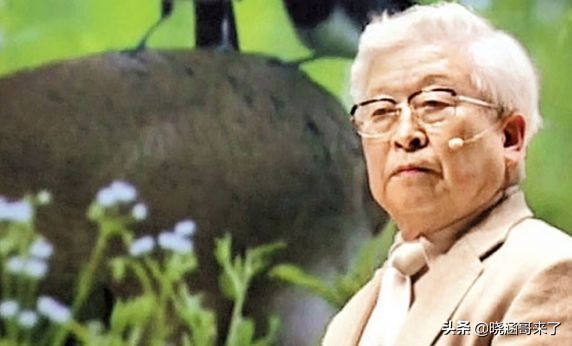 韩国世越号为什么学生不弃船,韩国世越号事件真相