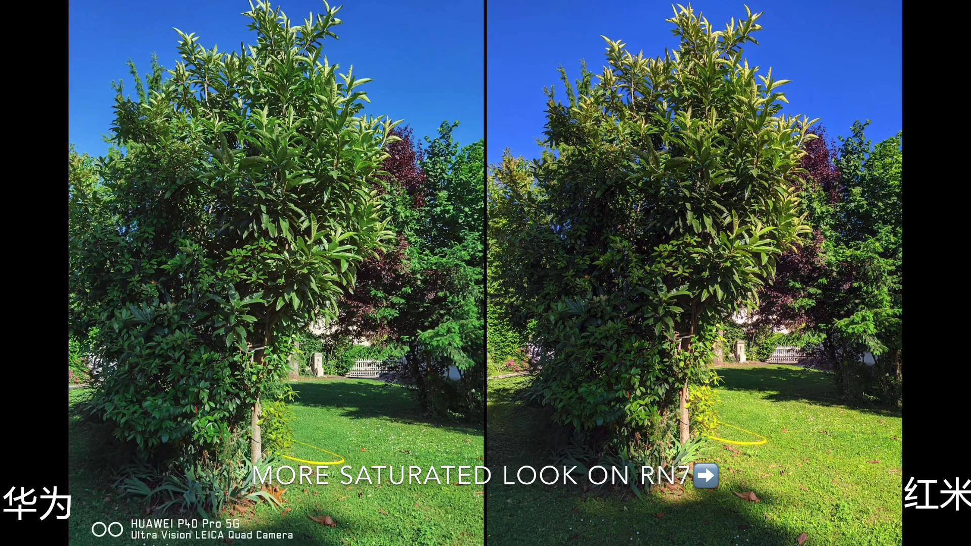 华为p40pro跟小米11pro拍照,华为p40pro和小米11哪个拍照好