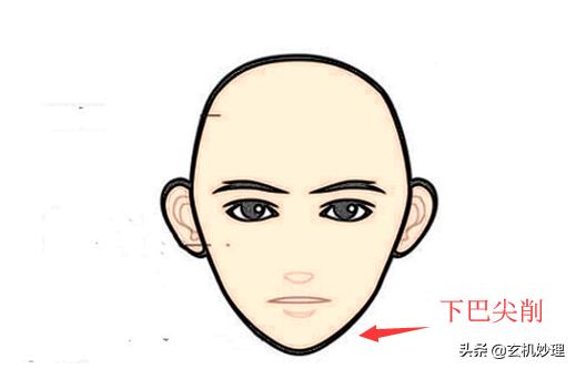 哪种面相的人最能聚财运,能聚财的面相有哪些