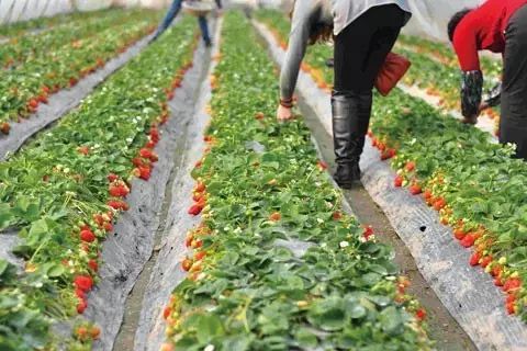 淄博周末旅游攻略自由行,淄博冬季旅游攻略