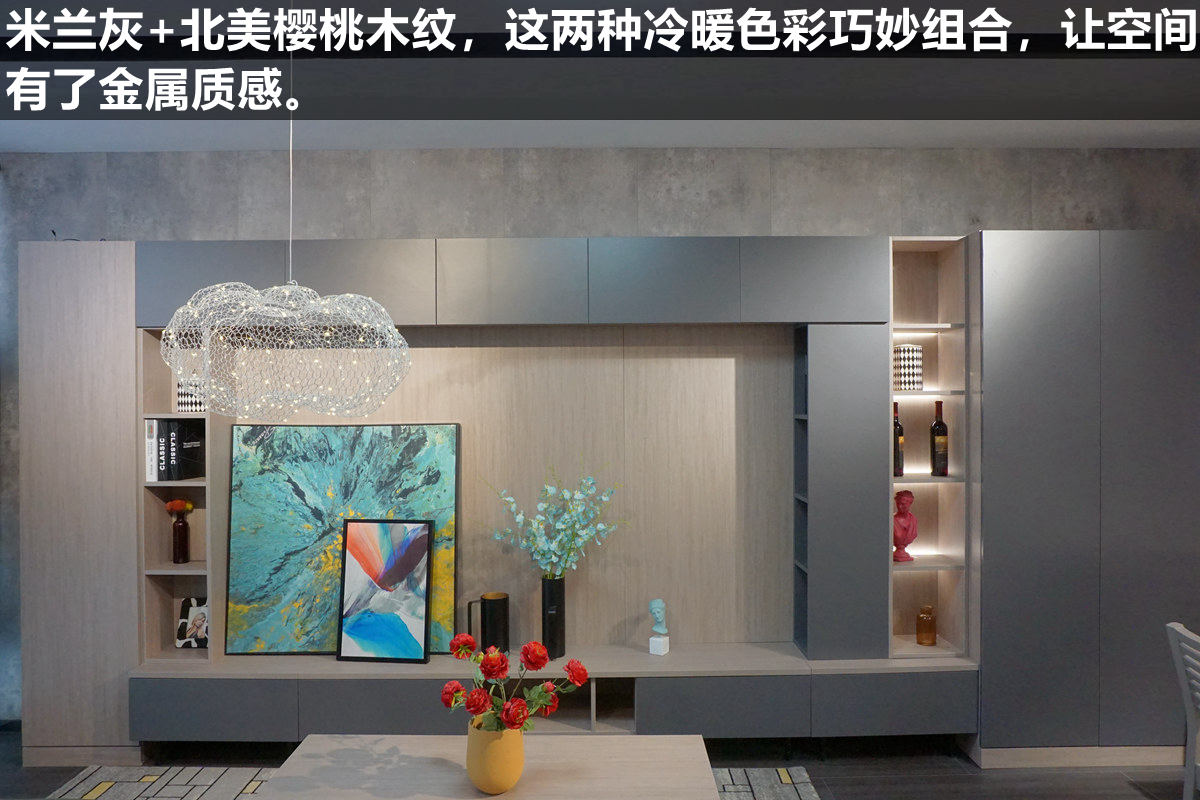 莱茵艾格衣柜设计,莱茵艾格家居衣柜