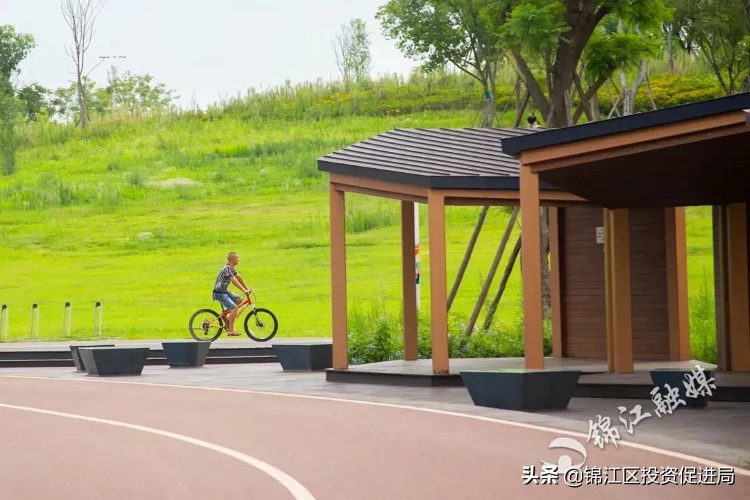 杠杠的！锦江的这些高质量公共服务，你感受到了吗？